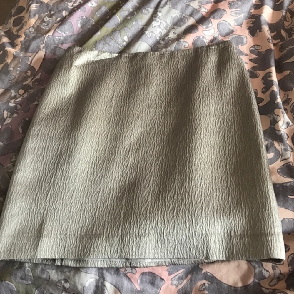NWT Silver Skirt